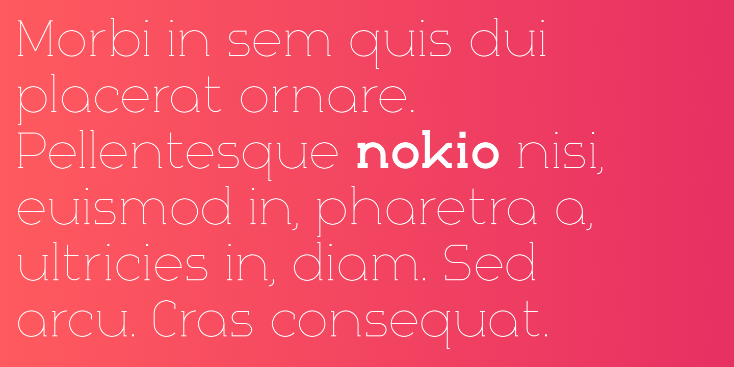 Beispiel einer Nokio Slab Italic-Schriftart